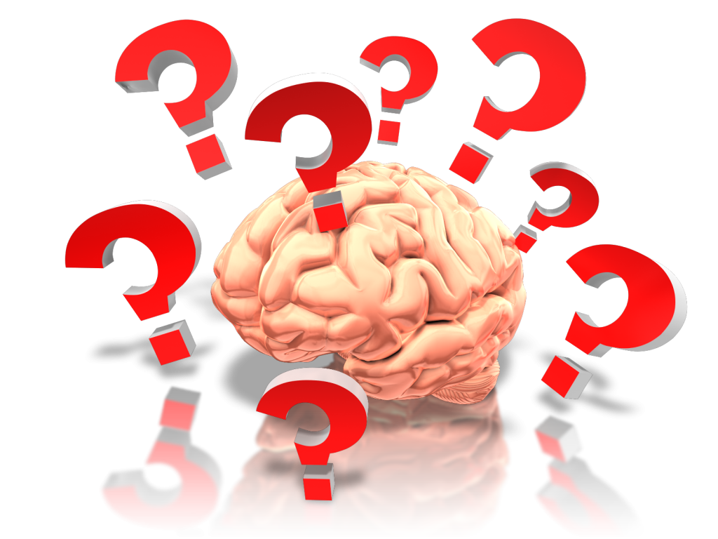 Brain questions