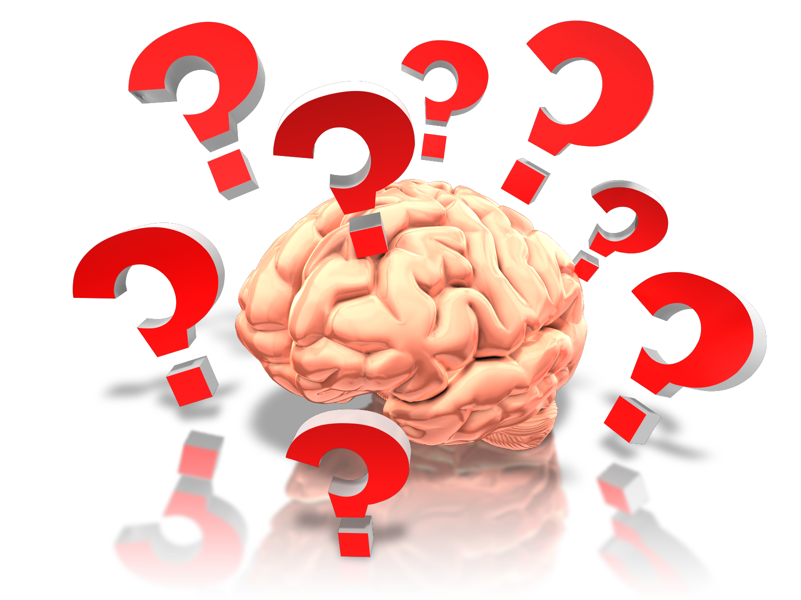 brain_with_questions_1600_clr_9219